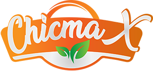 chicmax-logo